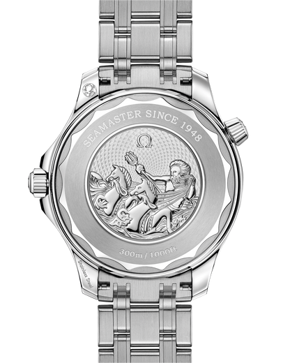 Seamaster Diver 300M 42 mm, steel on steel