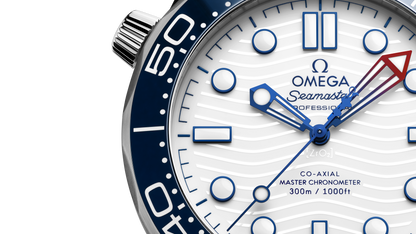 Seamaster Diver 300M 42 mm, steel on steel