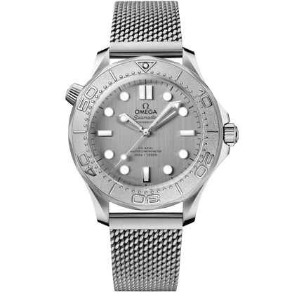 Seamaster Diver 300M 42 mm, steel on steel