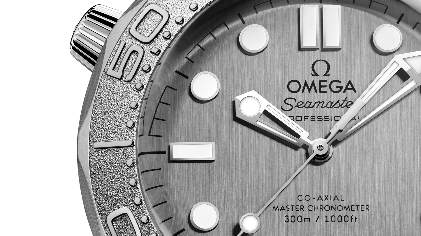 Seamaster Diver 300M 42 mm, steel on steel