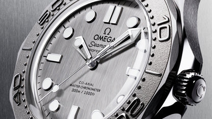 Seamaster Diver 300M 42 mm, steel on steel