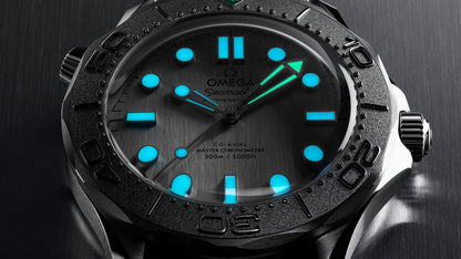 Seamaster Diver 300M 42 mm, steel on steel