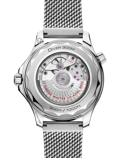 Seamaster Diver 300M 42 mm, steel on steel