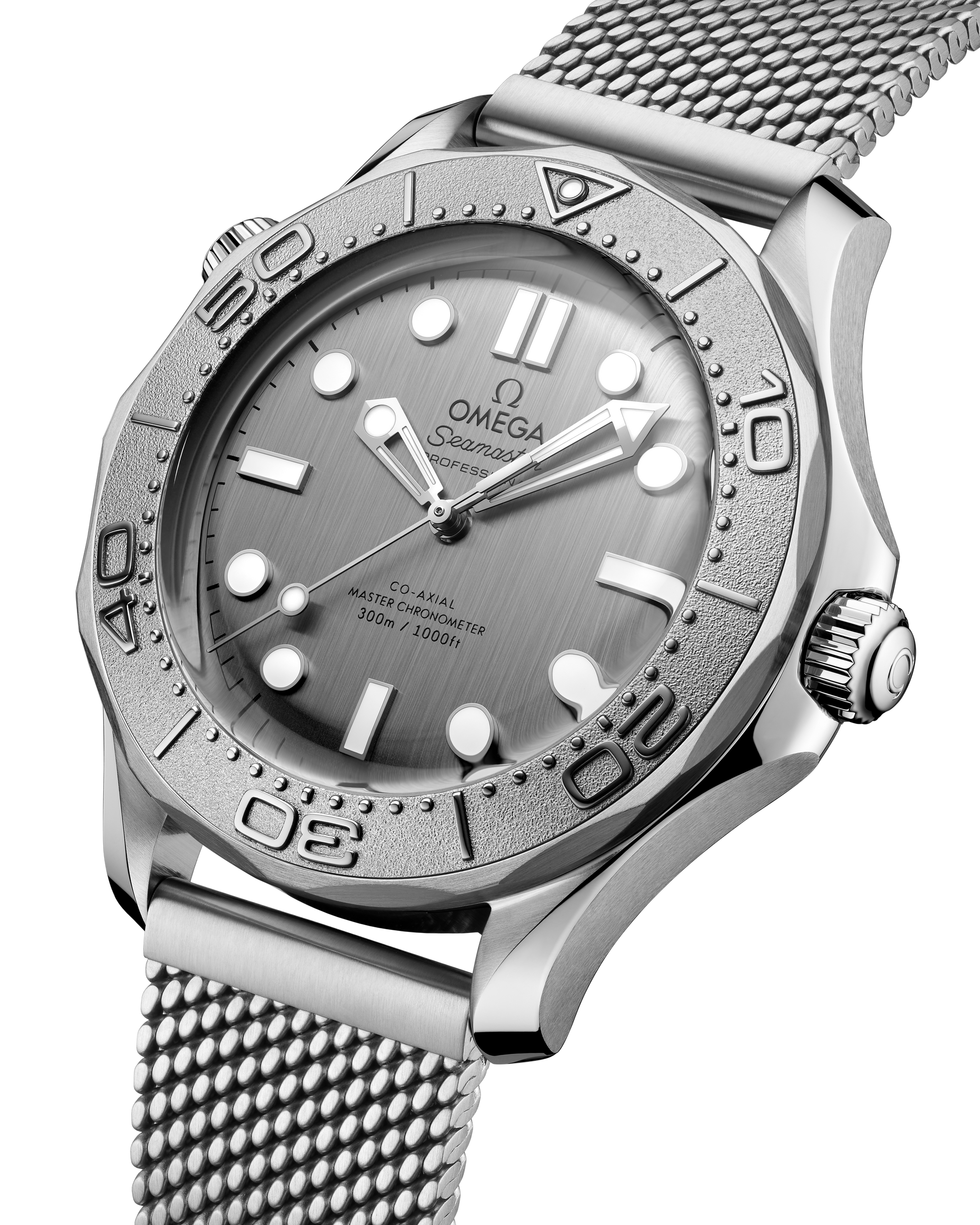 Seamaster Diver 300M 42 mm, steel on steel