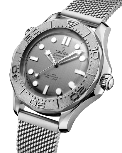 Seamaster Diver 300M 42 mm, steel on steel