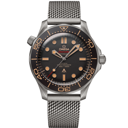 Seamaster Diver 300M 42 mm, titanium on titanium
