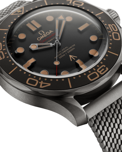 Seamaster Diver 300M 42 mm, titanium on titanium