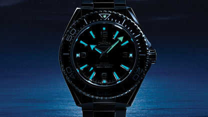Seamaster Planet Ocean 600M 42 mm, steel on steel