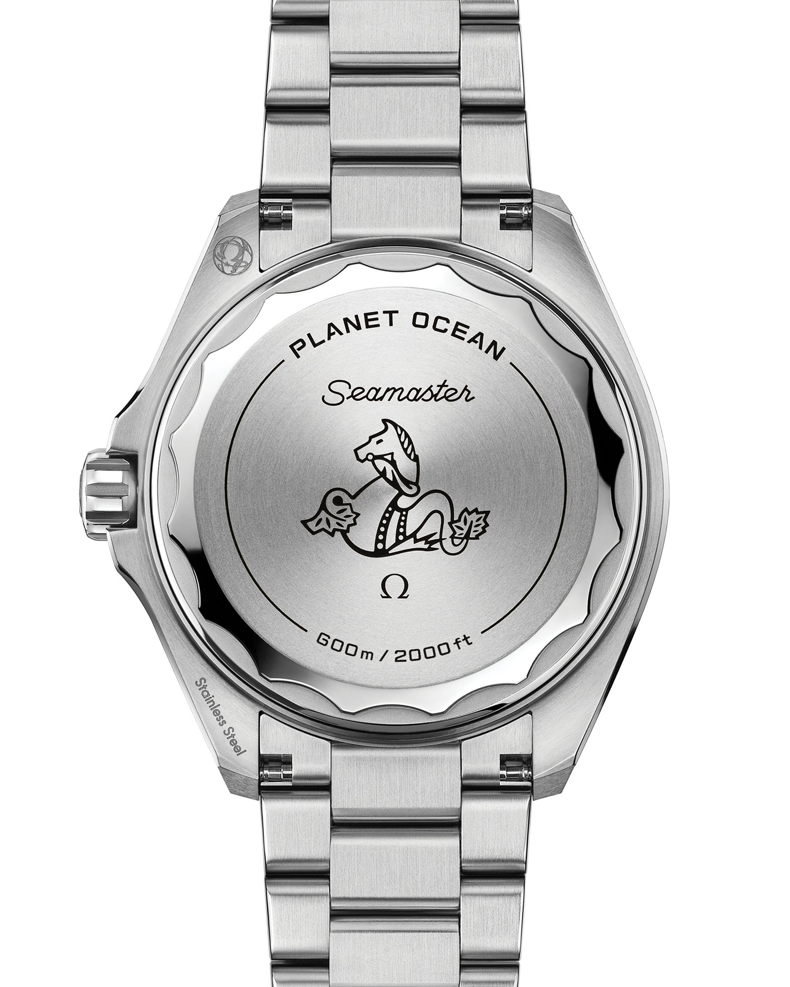 Seamaster Planet Ocean 600M 42 mm, steel on steel
