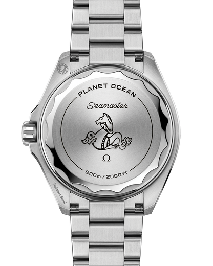 Seamaster Planet Ocean 600M 42 mm, steel on steel
