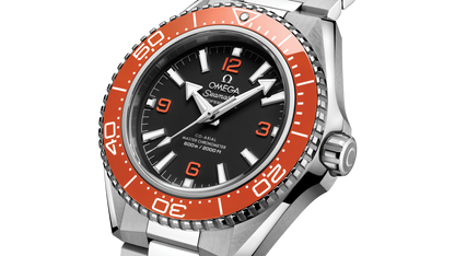 Seamaster Planet Ocean 600M 42 mm, steel on steel