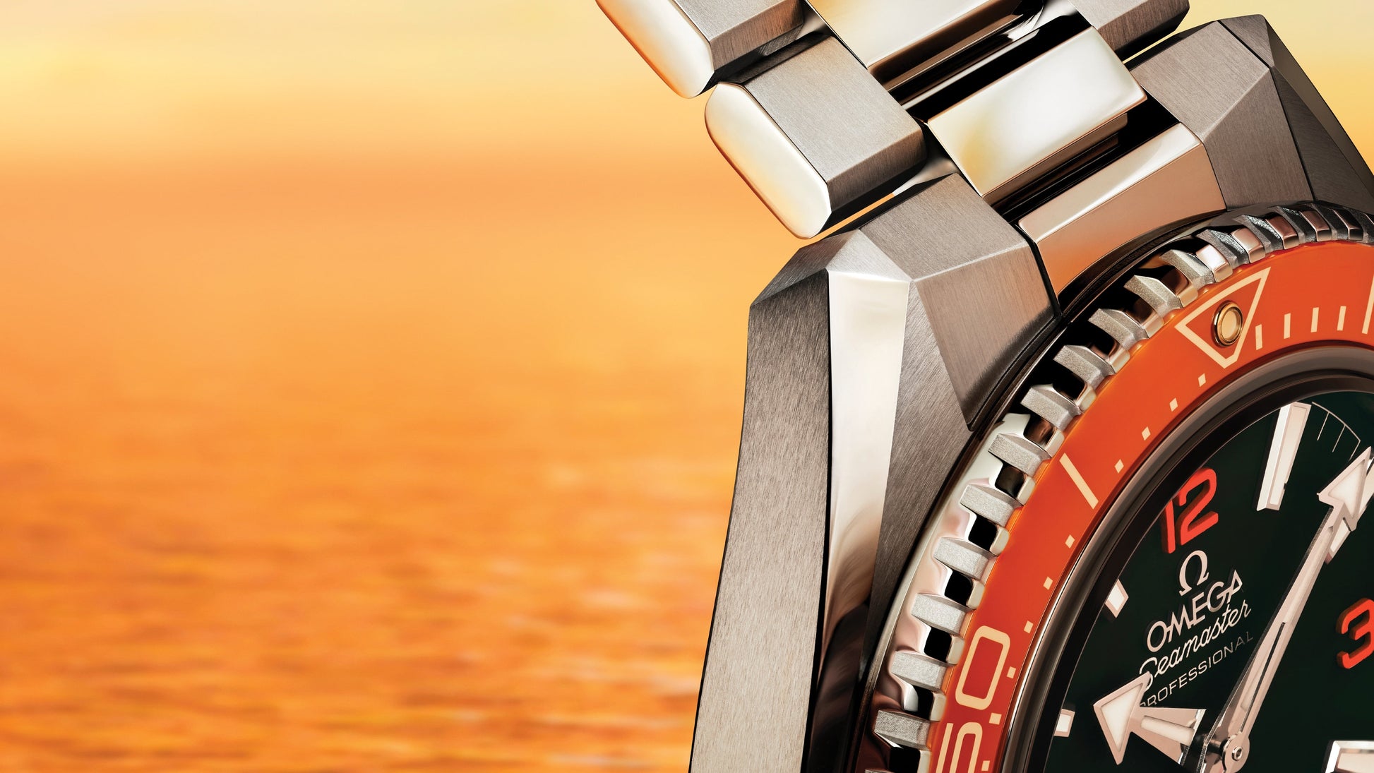 Seamaster Planet Ocean 600M 42 mm, steel on steel