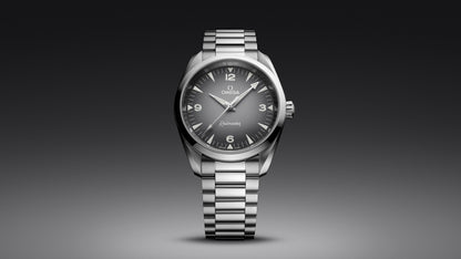 Seamaster Railmaster 38 mm, steel on steel