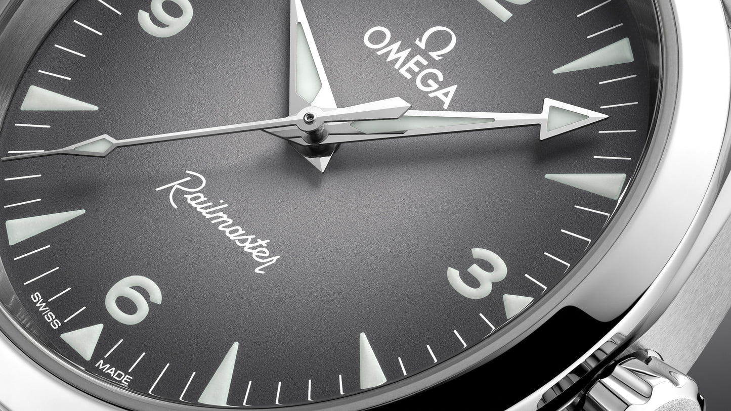 Seamaster Railmaster 38 mm, steel on steel