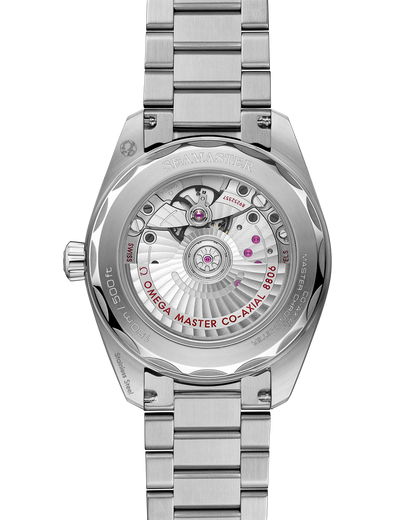 Seamaster Railmaster 38 mm, steel on steel