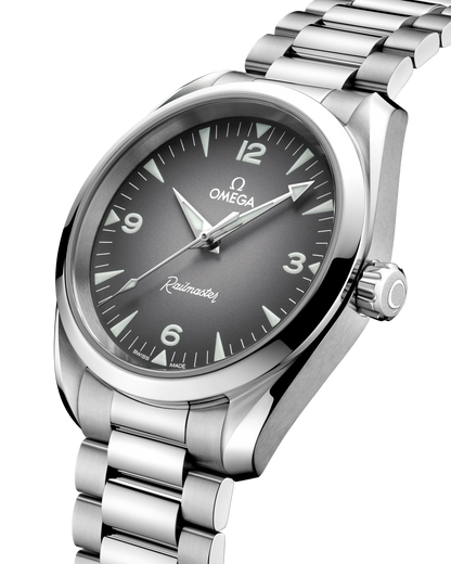 Seamaster Railmaster 38 mm, steel on steel