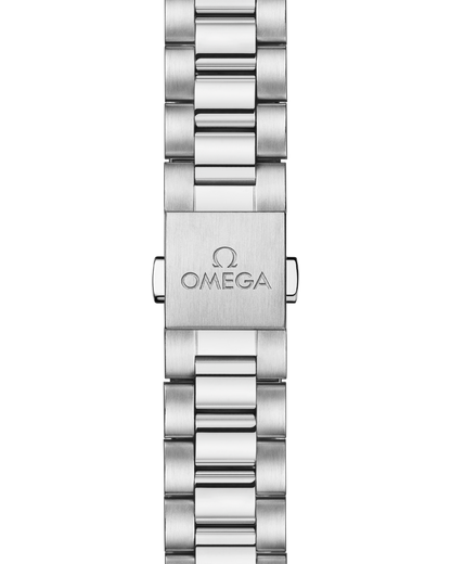 Seamaster Railmaster 38 mm, steel on steel
