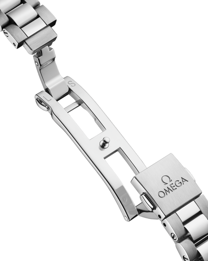 Seamaster Railmaster 38 mm, steel on steel