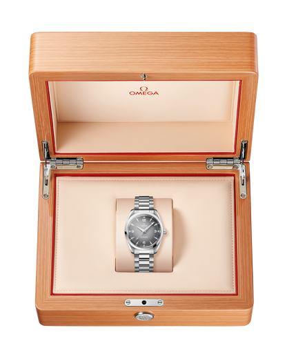 Seamaster Railmaster 38 mm, steel on steel