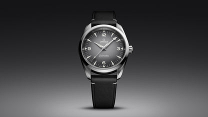 Seamaster Railmaster 38 mm, steel on leather strap