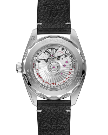 Seamaster Railmaster 38 mm, steel on leather strap