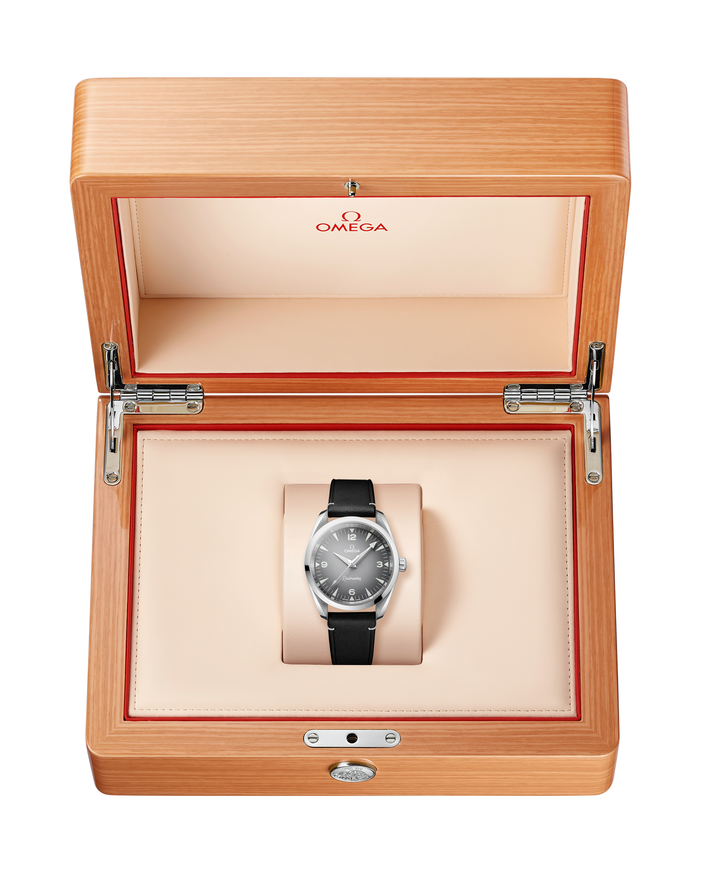 Seamaster Railmaster 38 mm, steel on leather strap