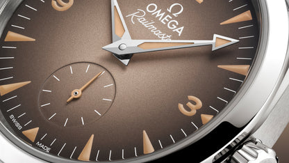 Seamaster Railmaster 38 mm, steel on steel