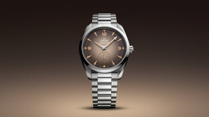 Seamaster Railmaster 38 mm, steel on steel