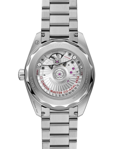 Seamaster Railmaster 38 mm, steel on steel