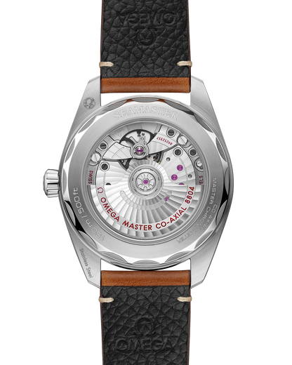 Seamaster Railmaster 38 mm, steel on leather strap