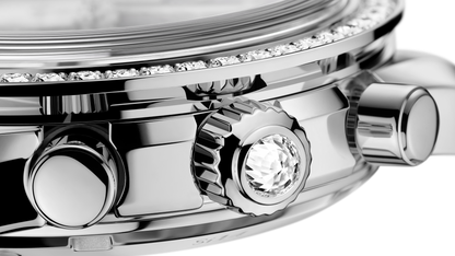 Speedmaster 38 38 mm, steel on steel