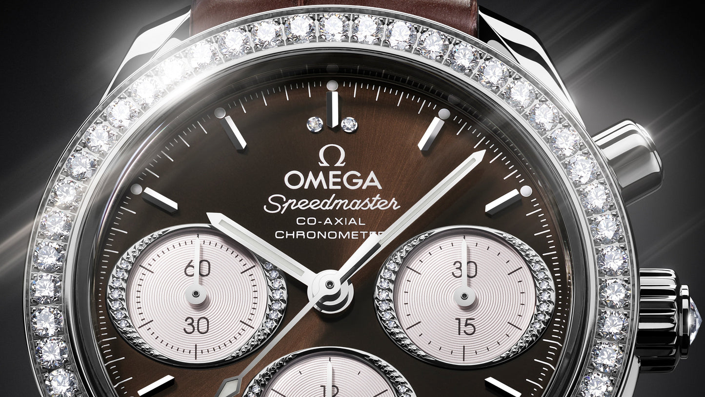 Speedmaster 38 38 mm, steel on alligator
