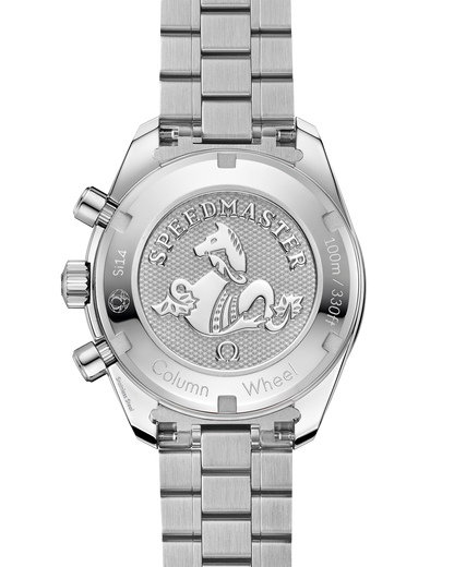 Speedmaster 38 38 mm, steel on steel
