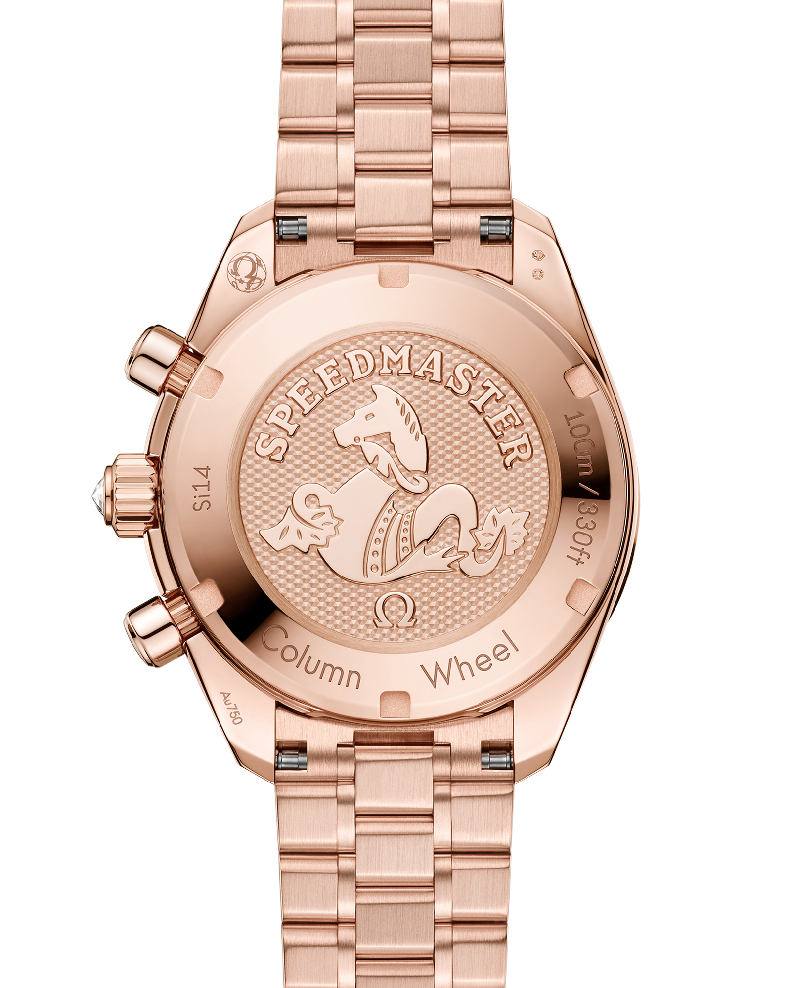 Speedmaster 38 38 mm, Sedna™ gold on Sedna™ gold