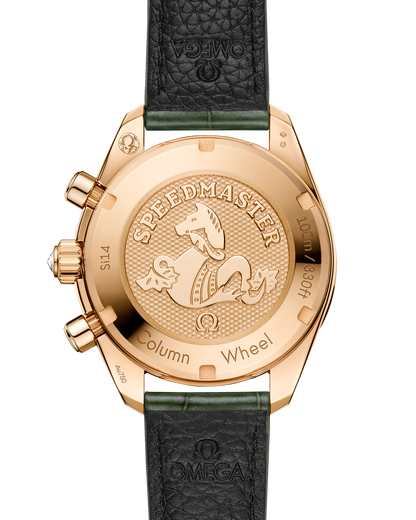 Speedmaster 38 38 mm, Moonshine™ gold on alligator