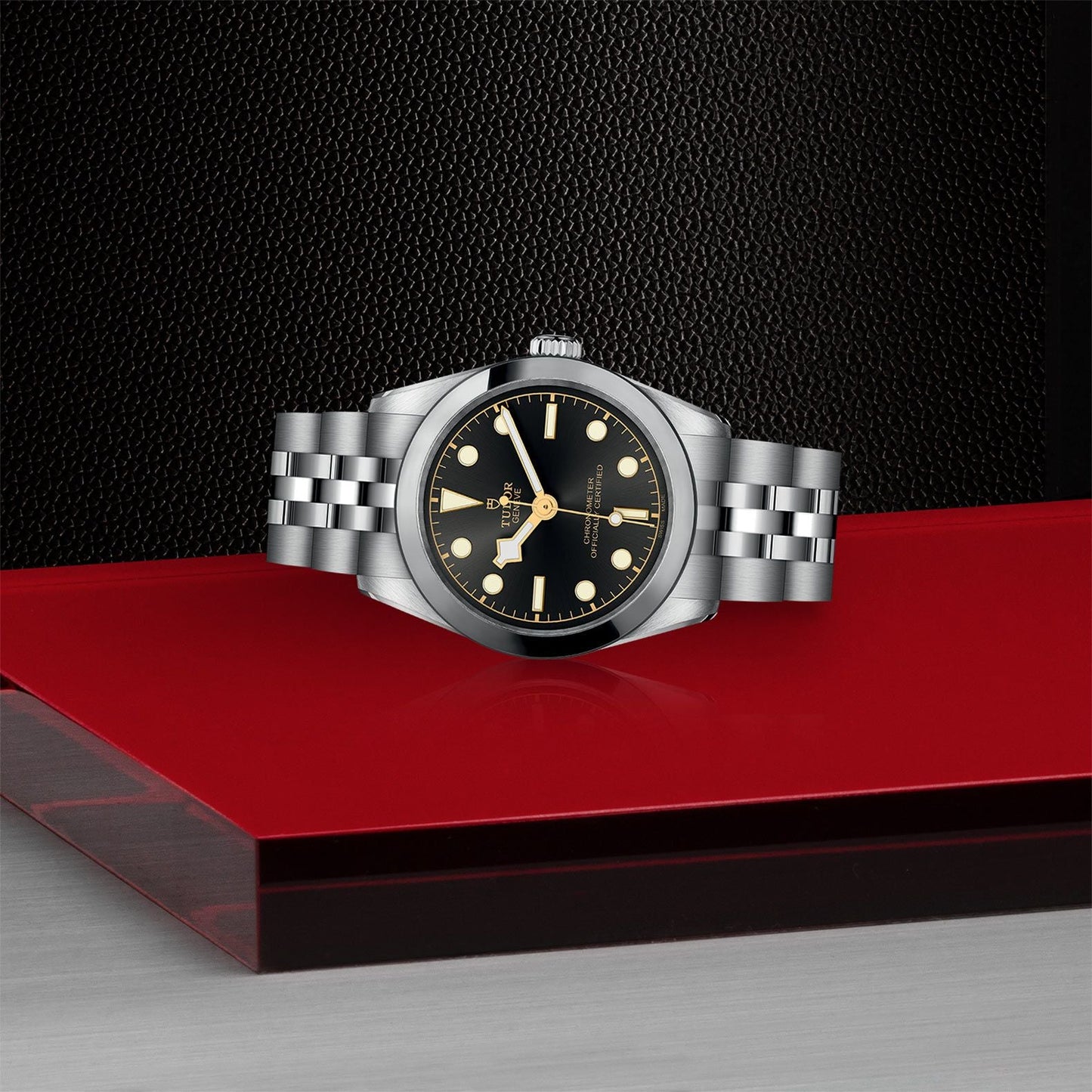NEW: TUDOR Black Bay 31 M79600-0001
